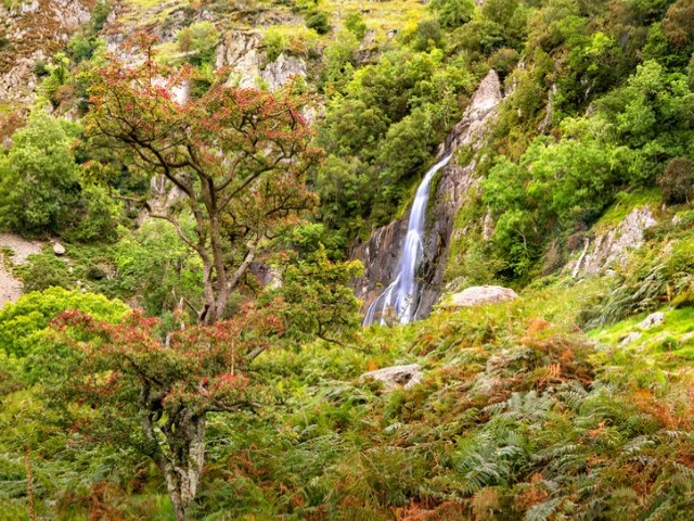 8 of the Best Waterfalls in Wales to Discover